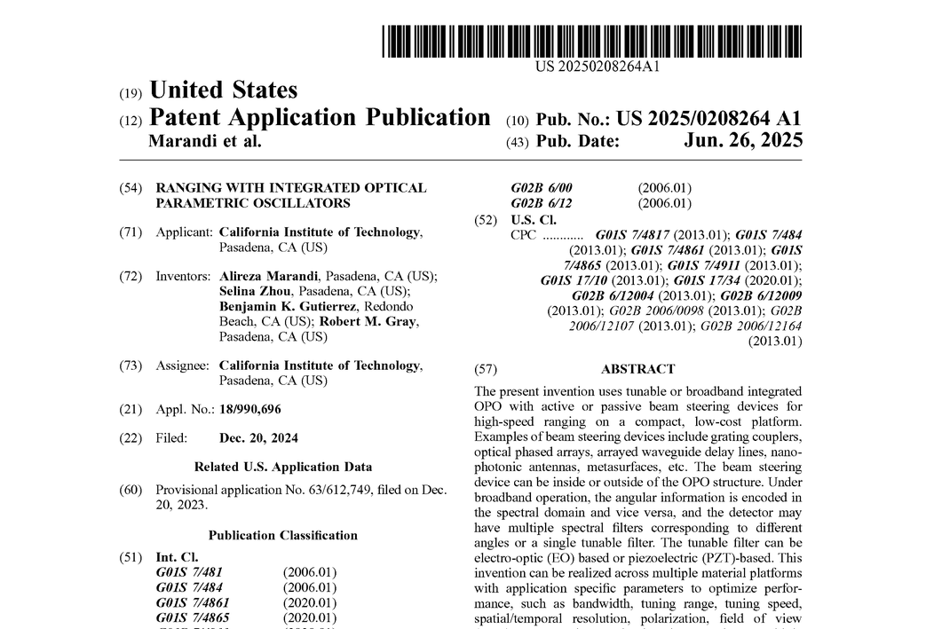 US patent application 20250208264 first page